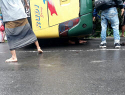 Bus Rudi Terguling Menabrak Pohon, 1 Korban Tewas 8 Lainnya Terluka