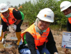 KAHMI Ajak Warga Pesisir Menanam Mangrove