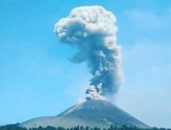 Letusan Gunung Anak Krakatau Bergemuruh Selama 24 Jam
