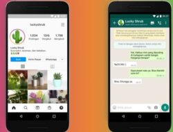 Update! Instagram dan Chat WhatsApp Kini Terhubung