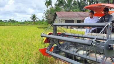 Perkuat Stok, Perum Bulog Serap 500 Ton Beras Dari Aceh