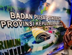 Di Provinsi Kepri, Ekspor Nonmigas Picu Kenaikan Pada Maret 2021