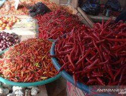 Harga Cabai Merah di Pasar Tradisional Ambon Kembali Naik