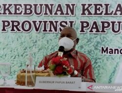 Gubernur Papua Barat Wajibkan Para Kepala Daerah Terapkan SIPD