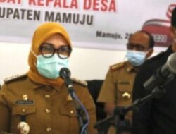 Bupati Mamuju Sutinah akan Kurangi Jumlah Pegawai Tenaga Kontrak