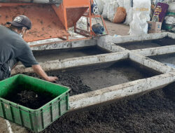 DLH DKI Jakarta Ajak Warga Olah Sampah Organik Dengan Larva Maggot