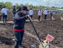 Puan Tanam dan Jajan Jagung Bareng Jokowi di Sorong Papua