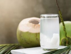 Ketahui Manfaat Air Kelapa Untuk Kesehatan Tubuh dan Kecantikan