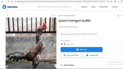 Jualan NFT Orang RI di OpenSea: Ayam, Seblak Sampai Lemari