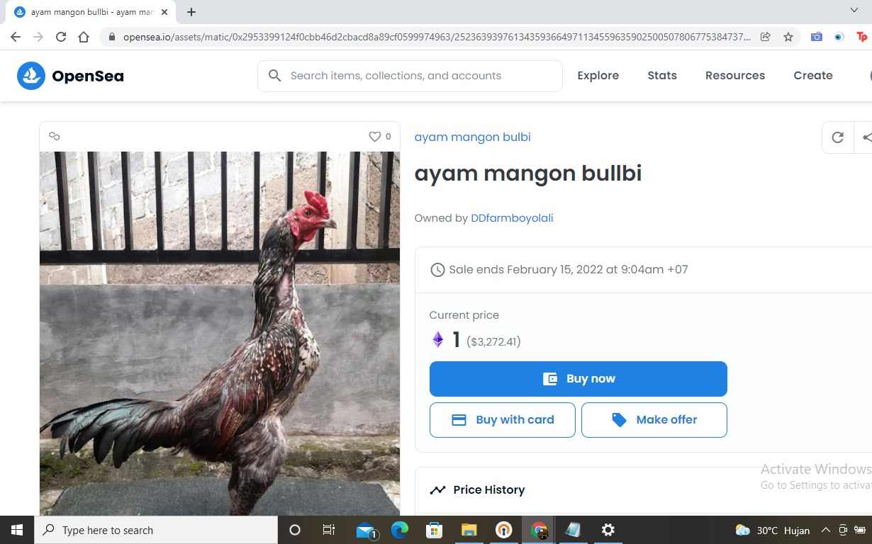 Jualan NFT Orang RI di OpenSea: Ayam, Seblak Sampai Lemari