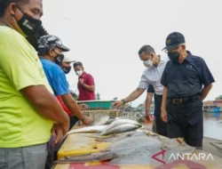 Wapres Borong Hasil Laut di Pulau Cangkir