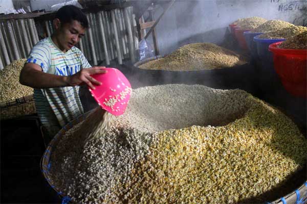 Fluktuasi Harga Kacang Kedelai