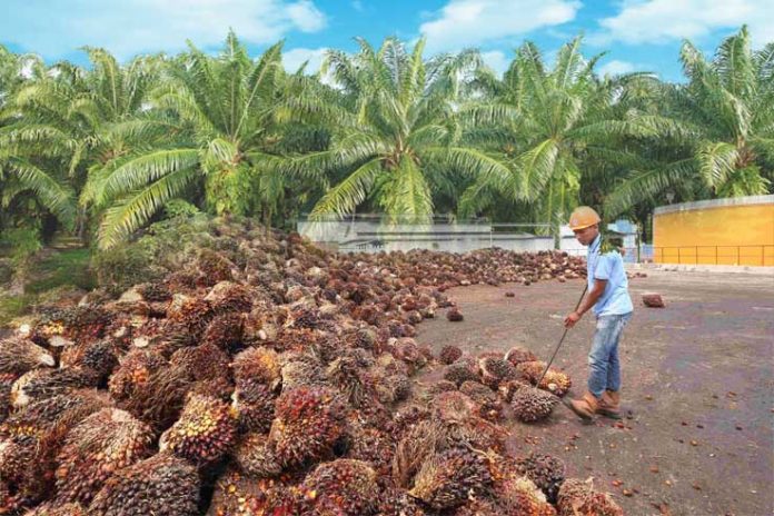 Pemerintah Diminta Naikkan Harga