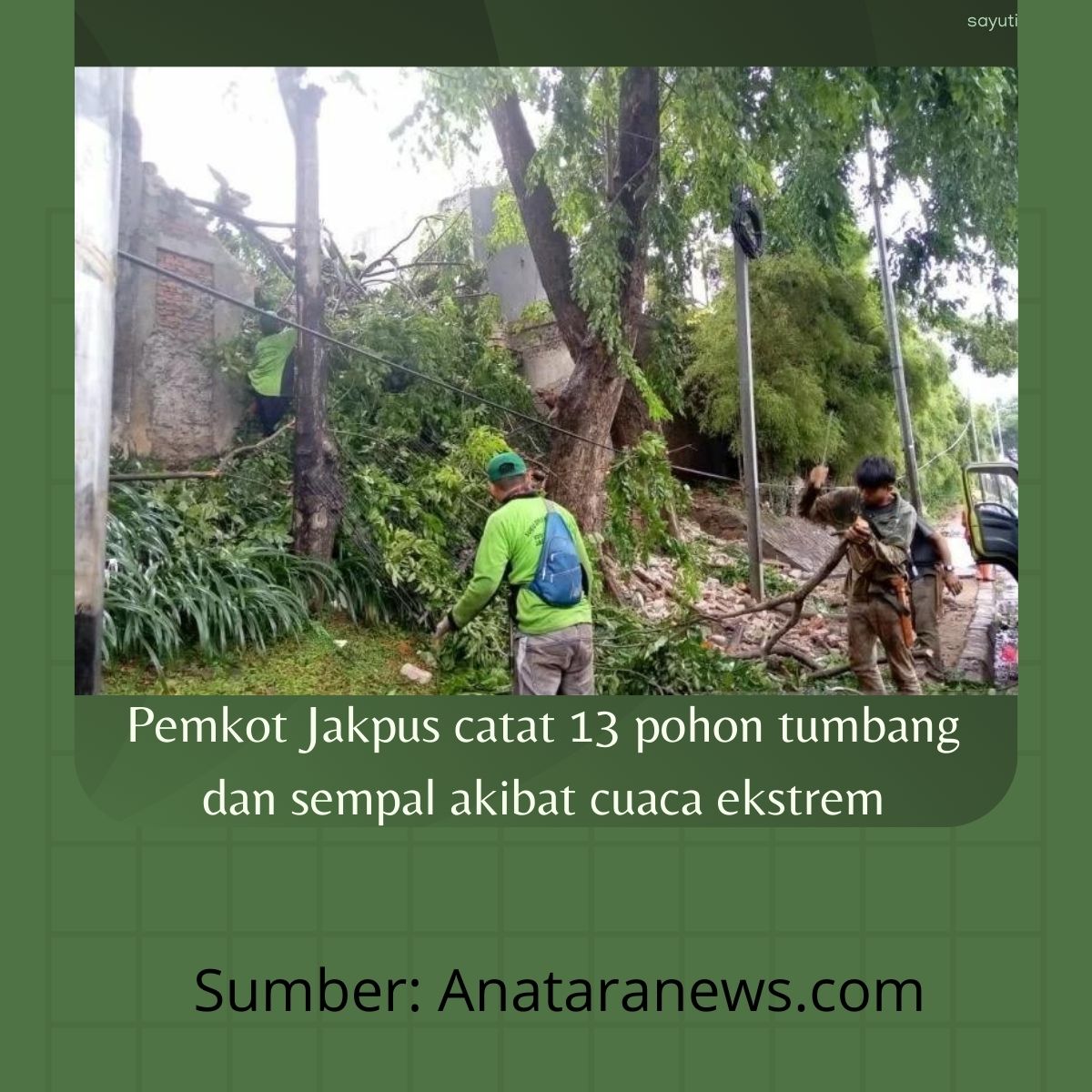 Cuaca Esktrem 13 pohon yang tumbang