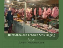 Ramadhan dan Lebaran Stok Daging Aman