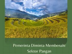 Pemerinta Diminta Membenahi Sektor Pangan