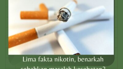 Lima fakta nikotin, benarkah sebabkan masalah kesehatan?