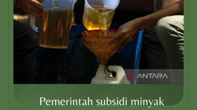 Pemerintah subsidi minyak goreng curah Rp14 ribu per liter