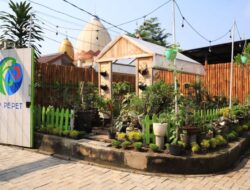 Kampung Pepet Urban Farm Destinasi Edukasi