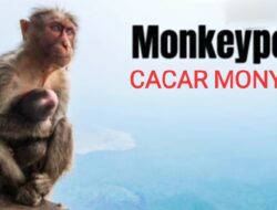Wabah Cacar Monyet Ditetapkan WHO Sebagai Darurat Kesehatan Global, Begini Cara Penularannya