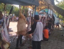 Masjid Jami Darussalam Sembelih Hewan Kurban Bersama Jamaah