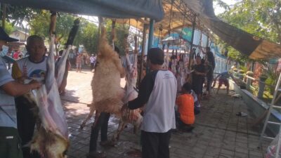 Masjid Jami Darussalam Sembelih Hewan Kurban Bersama Jamaah