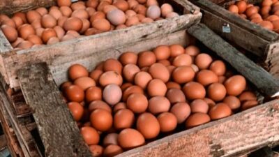 Harga telur ayam di Kabupaten Tangerang melambung tinggi