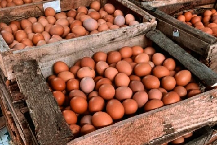 Harga telur ayam di Kabupaten Tangerang melambung tinggi