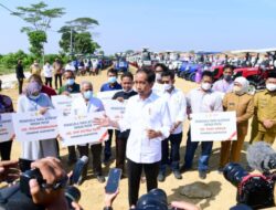 Presiden Jokowi Luncurkan Lumbung Pangan Berbasis Mangga di Gresik