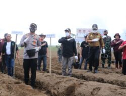 Bupati Franky Hadiri Pencanangan Kampung Sayur dan  Penanaman Benih Kentang