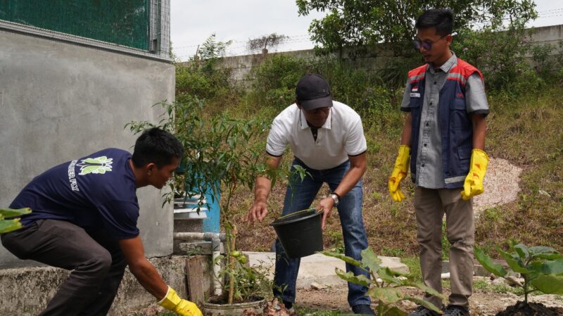 Wujudkan Tol Hijau dan Ramah Lingkungan, Hutama Karya Ciptakan Unit Pengolahan Sampah Organik Dengan Media Lalat ‘Tentara Hitam’ di Rest Area Tol JTTS