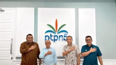 PTPN V akselerasi peremajaan sawit rakyat