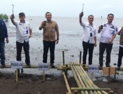 Sambut HPN 2023, PWI Kabupaten Tangerang Tanam Mangrove di Pesisir Utara Mauk