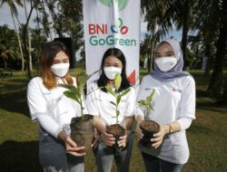 Dukung Upaya Pemerintah Capai Zero Carbon 2060, Ini strategi BNI