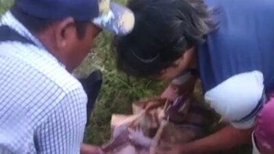 Polisi Selidiki Penemuan Bayi Laki-Laki di Panongan Tangerang