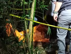 Polisi Selidiki Penemuan Mayat Laki-laki yang Terkubur di Semak-semak Desa Muncul
