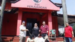 Sambut Idul Adha 1444 H Ananta Bagikan Hewan Qurban ke DPC PDI Perjuangan dan Pondok Pesantren di Tangerang Raya