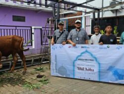 Idul Adha 1444 H, Bandara Soekarno Hatta Salurkan Hewan Kurban kepada 12 Kelurahan dan Desa di Tangerang