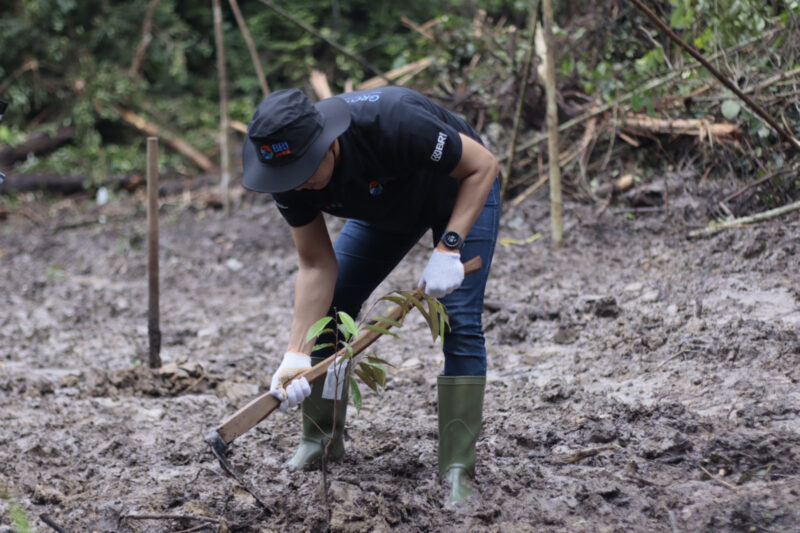 BRI Peduli Grow & Green Salurkan 2.500 Bibit Pohon Durian di Berau