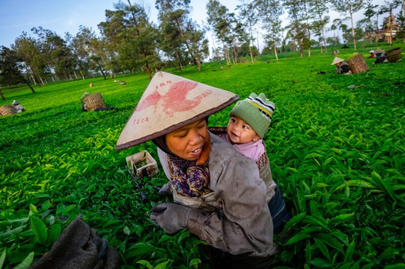 PNM Majukan UMKM Lewat Literasi Kesehatan Ibu dan Anak