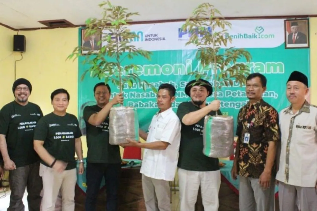 1.000 Bibit Durian PNM, Hijaukan Ekonomi Tiga Desa Banyumas