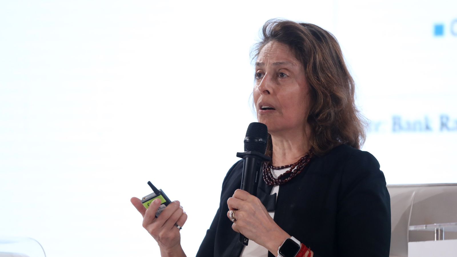 Peneliti Harvard University Apresiasi Peran BRI dalam  Inklusi Keuangan