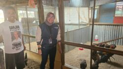 Program Pemberdayaan BRI Bikin Peternakan Ayam di Surabaya