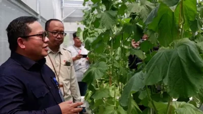 Dorong Ketahanan Pangan, Jamkrindo Kolaborasi Program Kebun Gizi