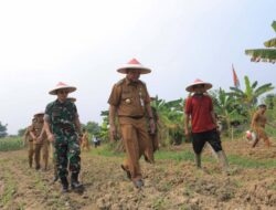 Pemkot Tangerang Manfaatkan Lahan Kosong untuk Ketahanan Pangan