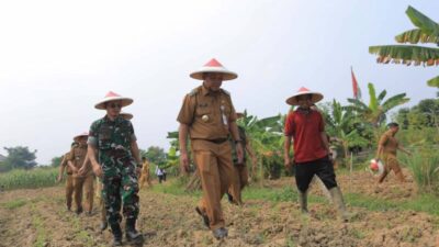 Pemkot Tangerang Manfaatkan Lahan Kosong untuk Ketahanan Pangan