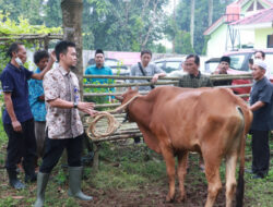 DPKP Tangerang Awasi 664 Titik Penjualan Hewan Kurban