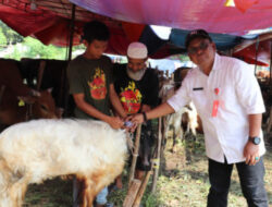 Pemkab Tangerang Siapkan Layanan Periksa Kesehatan Hewan Kurban