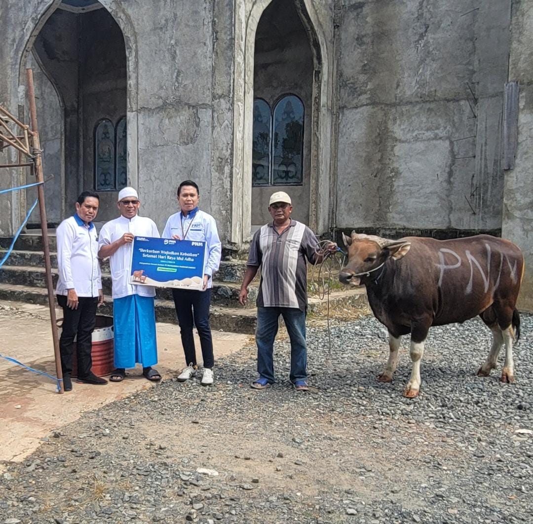 Idul Adha 2024, PNM Optimalkan Penyaluran Hewan Kurban di Daerah Tertinggal