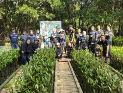 Peringati Hari Mangrove Sedunia, PNM Peduli Tanam 50.000 Pohon Mangrove untuk Tekan Bencana di Pesisir